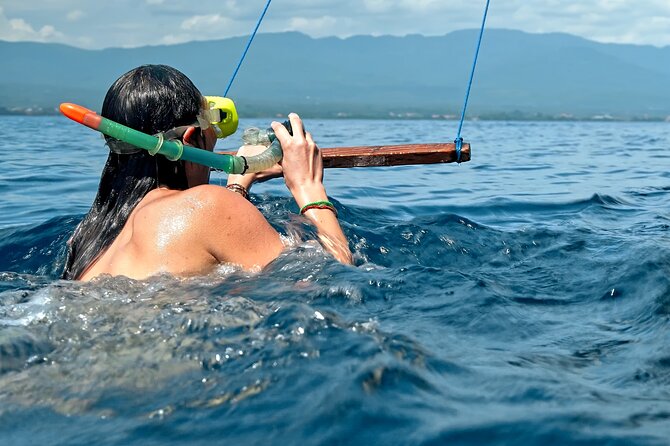 Lovina Dolphin Watching, Swimming, and Snorkeling Experience - Getting from Ubud to Lovina Beach: the ride reality