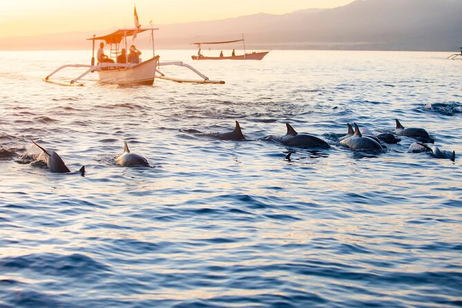 Lovina Sunrise Dolphin & Waterfall Tour - Why this north Bali sunrise tour starts before daybreak