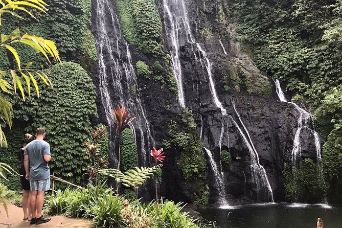 Lovina Sunrise Dolphin & Waterfall Tour - Wanagiri Hidden Hills: the view payoff before you head back