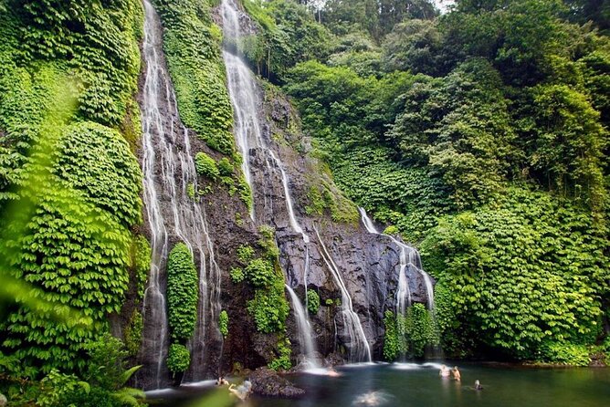 Lovina Sunrise Dolphin & Waterfall Tour - Price and value: is $79 per person a good deal?