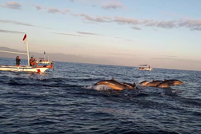 Lovina Sunrise Dolphin with option snorkeling and waterfall - Key things to know before you go