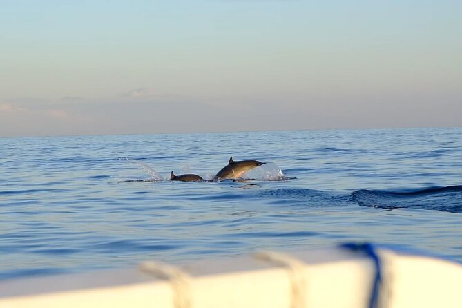 Lovina Sunrise Dolphin with option snorkeling and waterfall - Lovina sunrise dolphins: what that early start really buys you