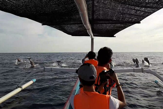 Lovina Sunrise Dolphin with option snorkeling and waterfall - Price and value: why $16 per person can make sense