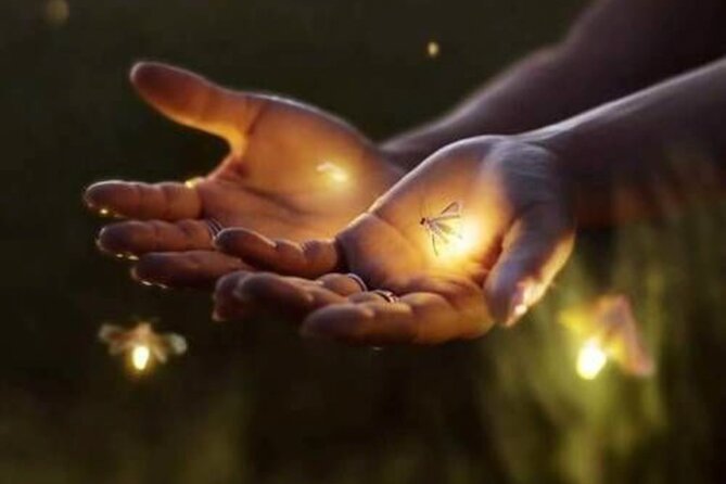 Magical Village Tour & Private Dinner with Fireflies in Bali - First stop: Delodsema Traditional Village at 6:00 pm
