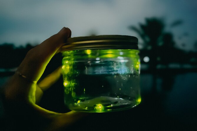 Magical Village Tour & Private Dinner with Fireflies in Bali - The countryside dinner: Nasi Goreng or Mie Goreng plus coffee/tea