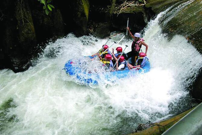 Melangit White Water River Rafting - Who this rafting run suits best in Ubud