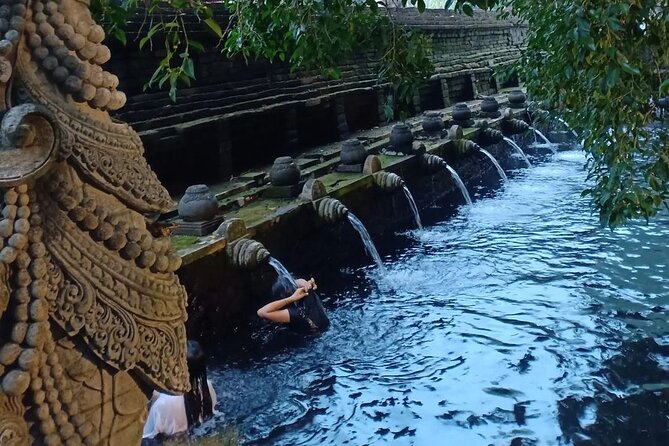 Monkey Forest, Holy Water Temple & Hot Springs Tours - Key Highlights Worth Your Time