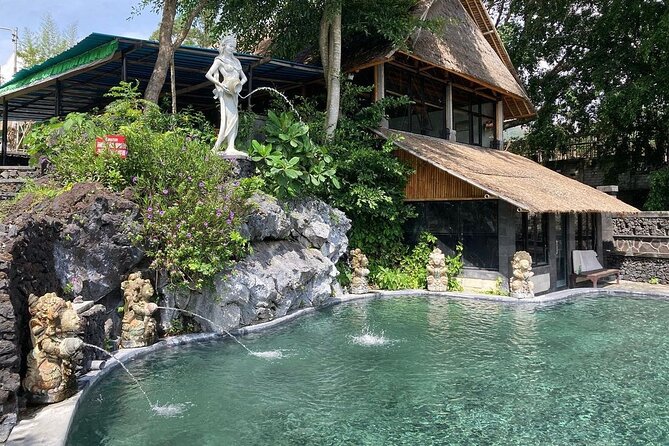 Monkey Forest, Holy Water Temple & Hot Springs Tours - Pickup, Private Group, and the Reality of a Packed Day