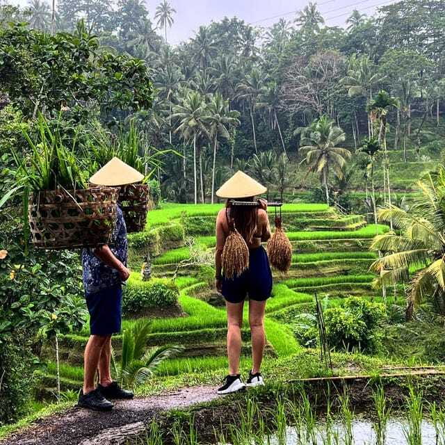 Monkey Forest, Kanto Lampo, Waterfall, Temple & Rice Terrace - Tegalalang Rice Terraces: The Classic View and How to See It Like a Local