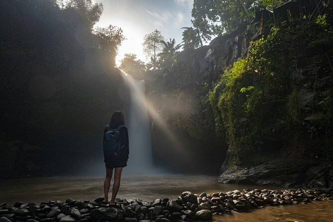 Monkey Forest, Temple, Waterfall and Rice Terrace in Ubud Tour - Ubud Town Shopping Stop: Local Textiles and Crafts, With Time to Browse