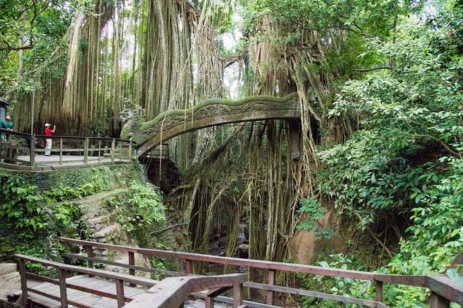 Monkey Forest Ubud Half day Tour - Pickup and air-conditioned transport before the monkey chaos