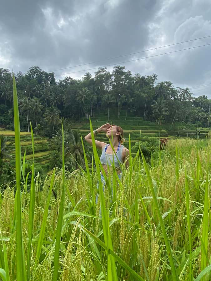 Monkey Forest, Waterfall ,Temple and Rice Terrace - One Day in Bali: Waterfall, Monkey Forest, Temple, Rice Terrace