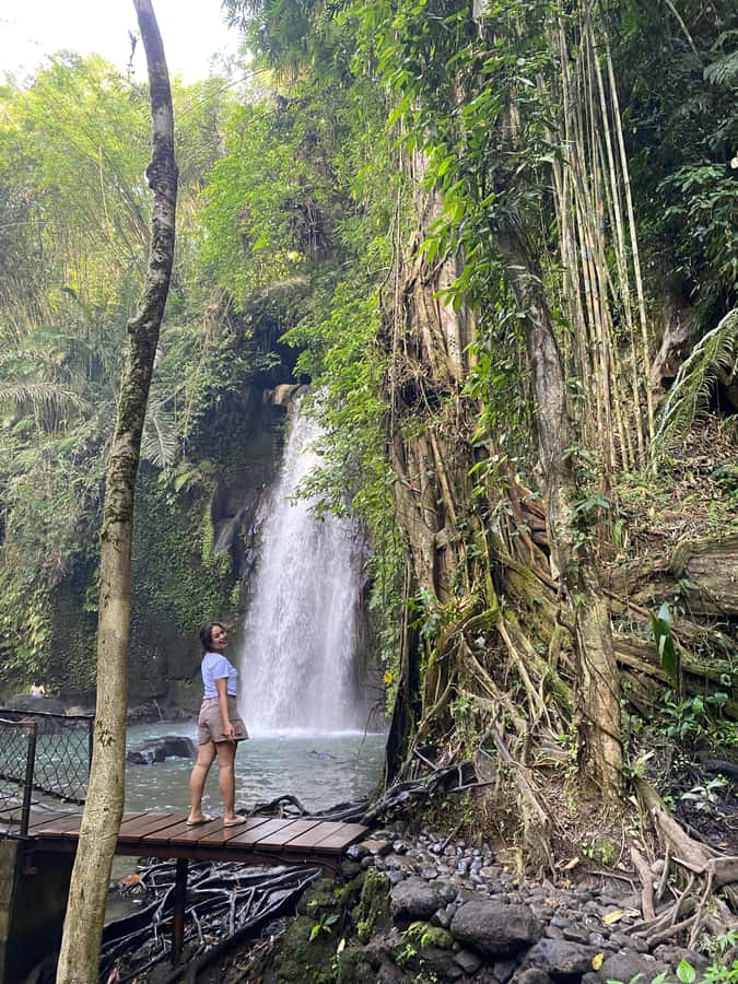 Monkey Forest, Waterfall ,Temple and Rice Terrace - What’s Included (and What You’ll Need to Plan Around)