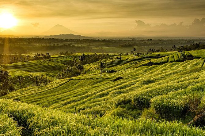 More Complete: Discover Bali In 3 Days Private Tour Package - Day 2: Bratan, UNESCO rice at Jatiluwih, and Tanah Lot sunset