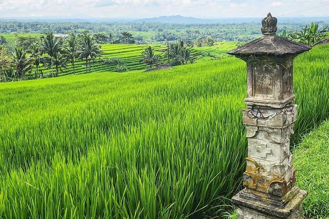 More Complete: Discover Bali In 3 Days Private Tour Package - Who this private 3-day Bali tour is for (and who should skip it)