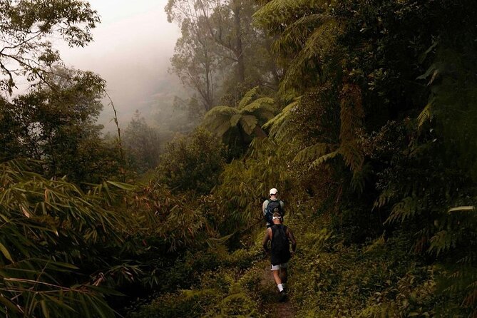 Mount Agung Sunrise Trekking with Local Guide - Quick Reality Check: Possible Drawbacks You Should Actually Plan For
