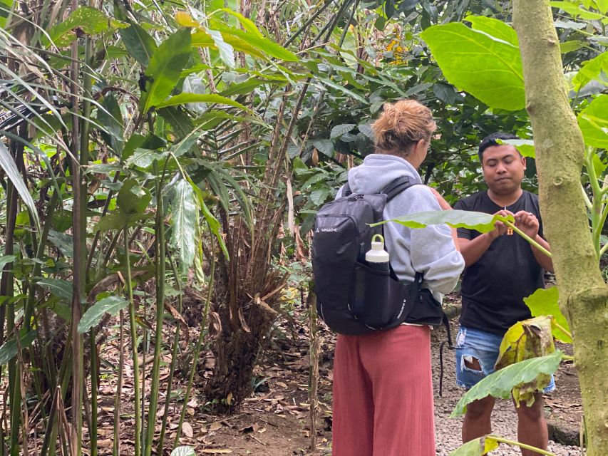 Mount Batur 4WD Jeep Sunrise Tour kintamani - Price and value: what $24 actually includes