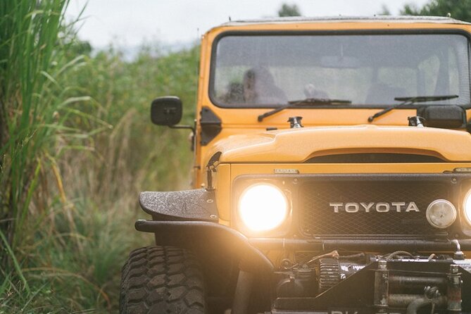 Mount Batur Black Lava Jeep Tour with Pickup - Price and value: is $40 worth it?