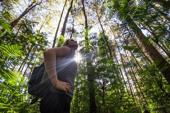 Mount Batur Sunrise Trekking With Breakfas - Price and value: what you’re really paying for at $59.94