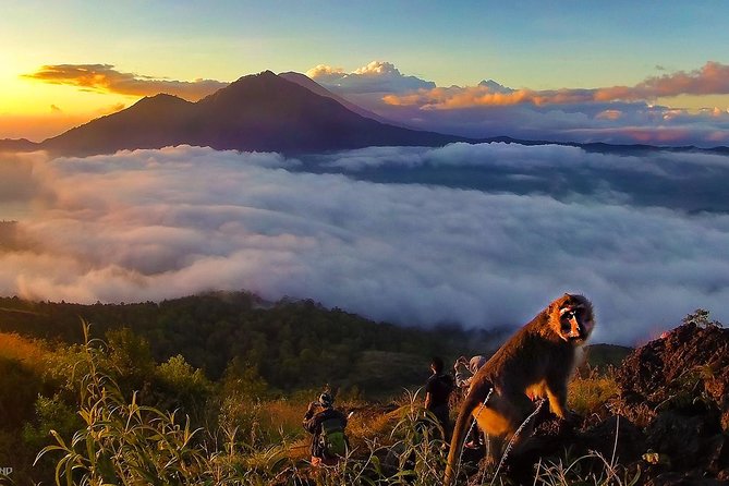 Mount Batur Sunrise Trekking With Breakfas - Summit breakfast: the volcano-steam eggs and hot drinks routine