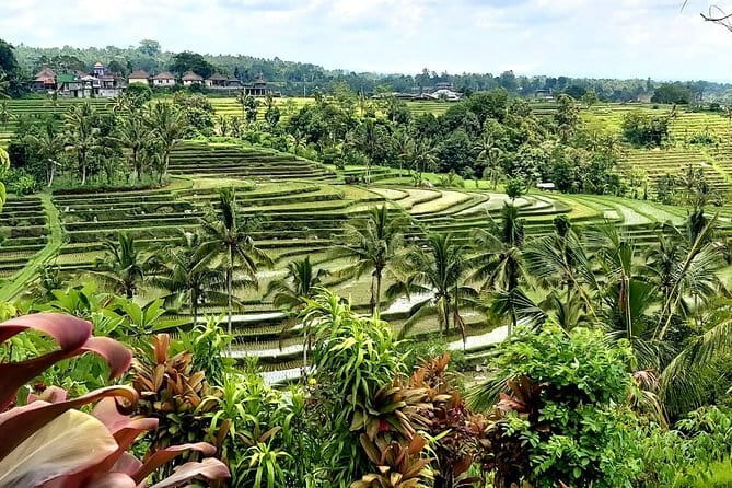 Munduk Highlights: Stunning North Bali Waterfalls & Temple - Ulun Danu Bratan Temple: Architecture, Territory, and Quiet Respect