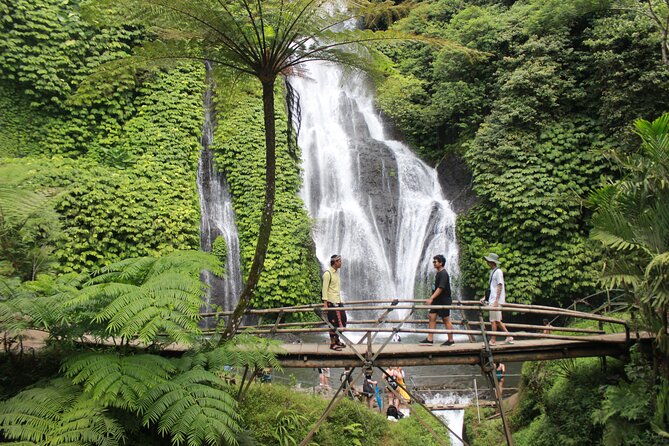 Munduk Private Customized Highlights Tour - The Guide Makes This Tour: What I’d Watch For With Koman