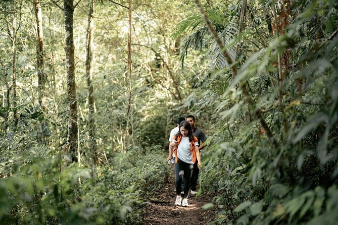 Munduk Twin Lake Jungle Hike, Ulun Danu Temple, & Waterfall - Start at Twin Lake View: your photo moment in Wanagiri