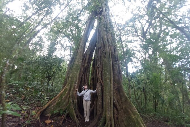 Munduk Twin Lake Jungle Trek with Sacred Forest Temples&Canoeing - Best for who: the kind of traveler this fits