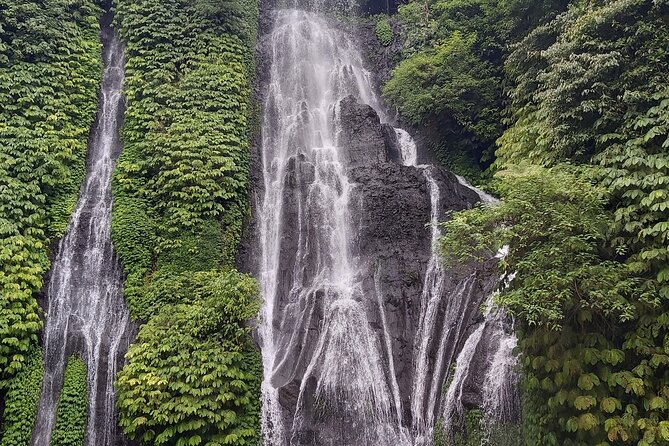 North Bali Private Tour - All Inclusive - Private Driver and English Guide: Photo Skills Plus Real Explanations