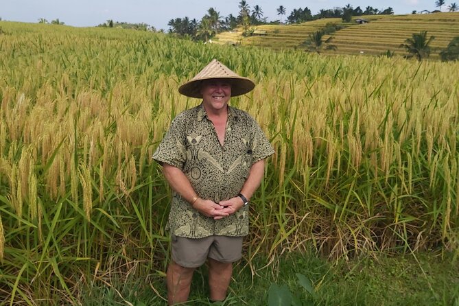 North Bali Private Tour - All Inclusive - Timing, Transport, and What the Day Feels Like