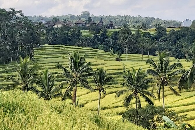 North Bali Private Tour - All Inclusive - Price and Value: What $71 Gets You (and What It Doesn’t)