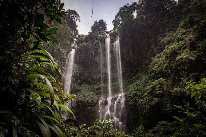 North Bali Tour: Banyumala Waterfall & Wanagiri Hidden Hills - North Bali in a Nutshell: What You’ll Actually Do