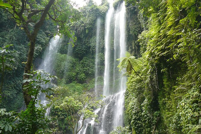 North Bali Tour: Banyumala Waterfall & Wanagiri Hidden Hills - Price and Value: $80 Can Make Sense Here