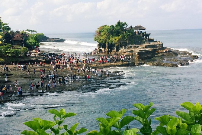 Nungnung Waterfall,Jatiluwih Heritage UNESCO and Bedugul Tour - Nungnung Waterfall: Swim First, Then Let the Green Take Over