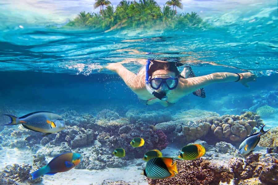 Nusa Lembongan Island: Snorkeling & Mangrove Forest Day Tour - Snorkelling: coral, fish, and how to make your gear choices count