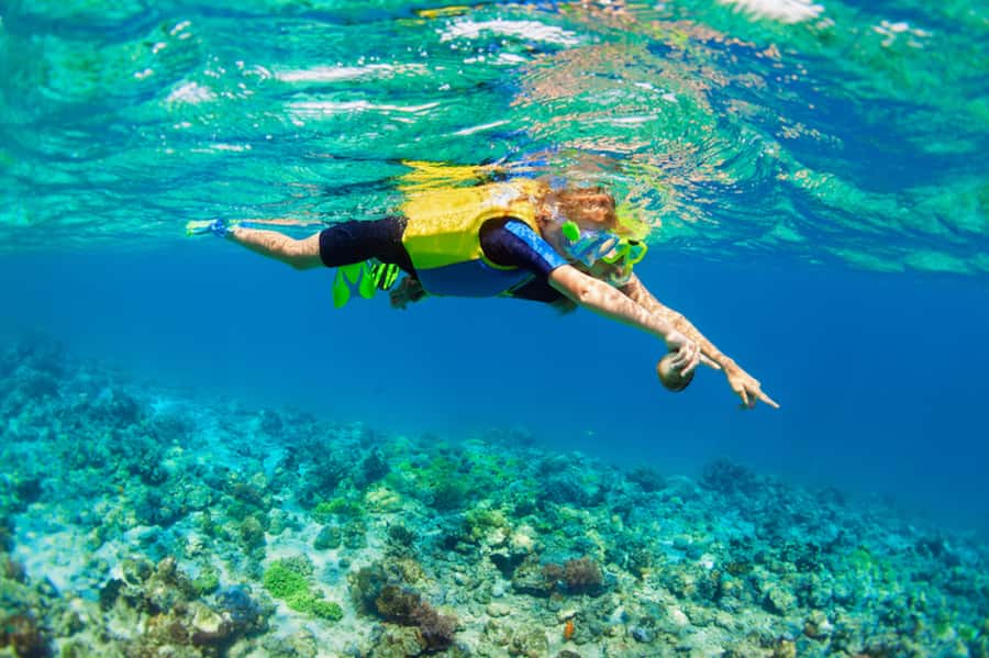 Nusa Lembongan Island: Snorkeling & Mangrove Forest Day Tour - Yellow Bridge and Devil’s Tears: famous photo spots with real atmosphere