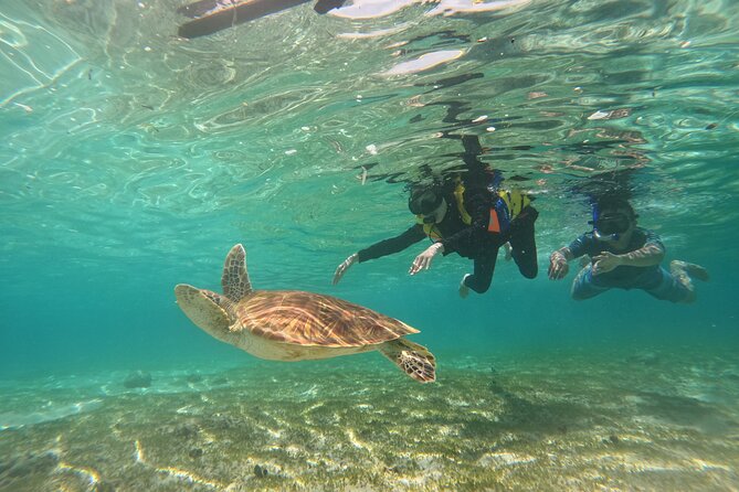 Nusa Penida & Gili Trawangan 3Days 2Night (Snorkeling) - Guides, Communication, and the Small Details That Matter