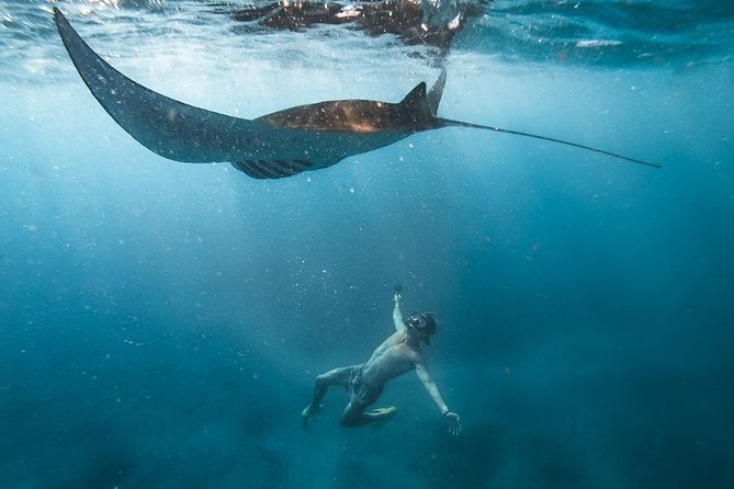 Nusa penida private senorkeling with Manta - Your private boat experience and included snorkeling gear