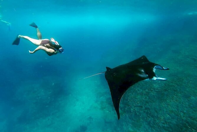Nusa Penida Snorkeling 3 Point with Manta Bay & Land Tour - Sanur Check-In and the Public Fast Boat: Plan for Crowds