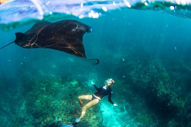 Nusa Penida Snorkeling & Kelingking Tour - Key things I’d pin to your map before you go