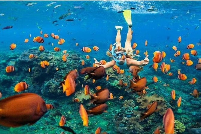 Nusa Penida Trip with Snorkeling all-Inclusive - Key takeaways before you go snorkel Penida