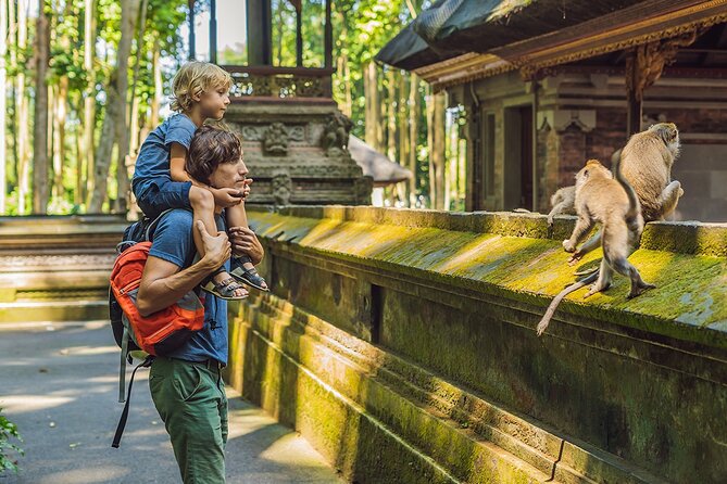 One Day Tour Ubud With Private Guide - Key highlights you’ll care about