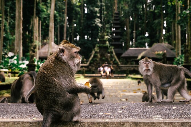 One Day Tour Ubud With Private Guide - How this Ubud private day actually feels