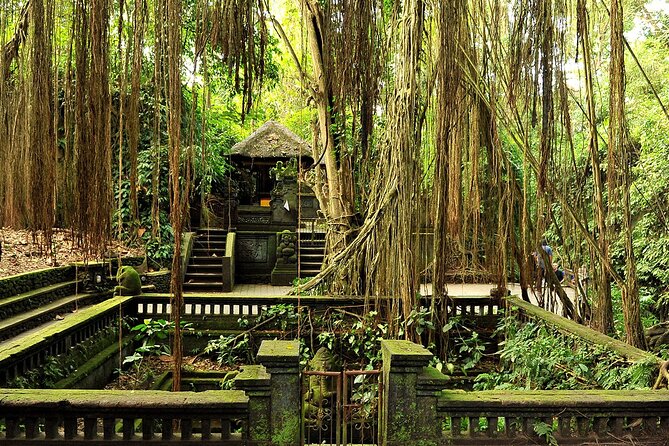 One Day Tour Ubud With Private Guide - Tegalalang rice terraces: stroll time plus the Bali swing photo option