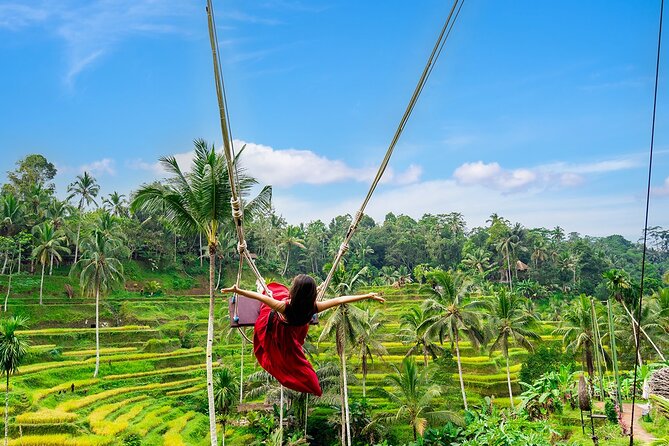 One Day Tour Ubud With Private Guide - Coffee plantation break: tea/coffee tasting with a forest-view pause