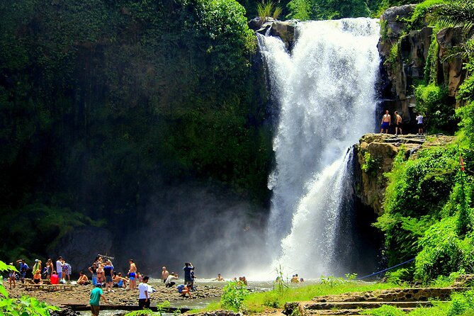 One Day Tour Ubud With Private Guide - Waterfall finale: Tegenungan on the list, Ulu Petanu in the overview