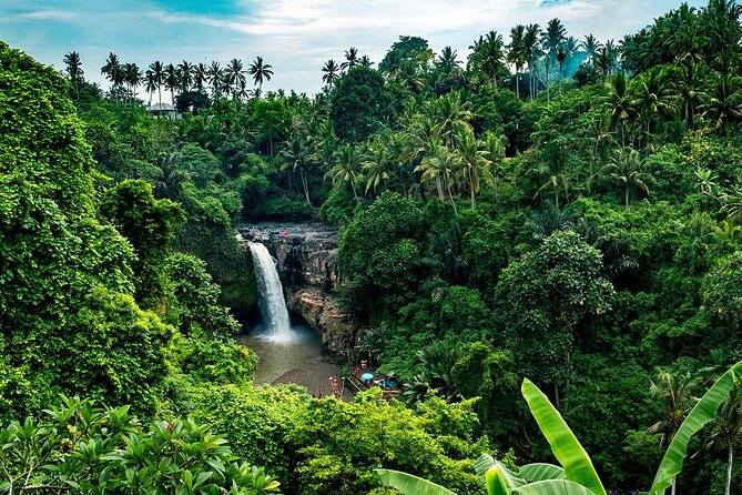 One Day Tour Ubud With Private Guide - Price and value: $18.24 is low, so what’s the catch?