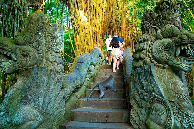 One Day Tour Ubud With Private Guide - Tegalalang rice terraces: stroll time plus the Bali swing photo option