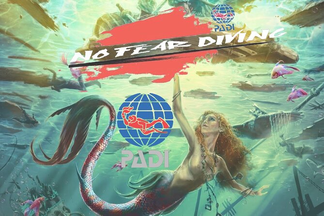 Padi Discover Scuba Diving In Amed Bali - Connecting to the Open Water Course (DSD as a stepping stone)