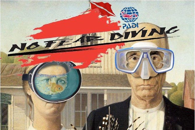 Padi Discover Scuba Diving In Amed Bali - Where you’ll see marine life in Amed—and what to expect realistically